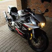 Honda cbr 954 RR (SOLGT)