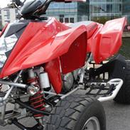 Hyosung TE450 ATV *SOLGT*