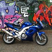Suzuki sv650s TOTALSKADET