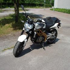 Aprilia Shiver ***Vandskadet***