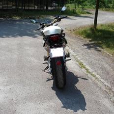 Aprilia Shiver ***Vandskadet***