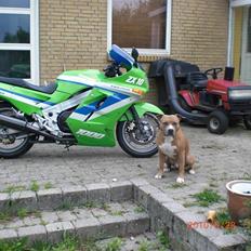 Kawasaki ZX 10