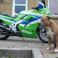 Kawasaki ZX 10
