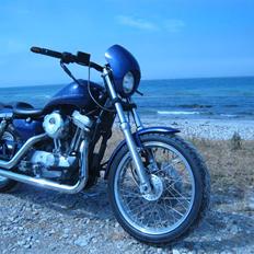 Harley Davidson XL1200 Evo.