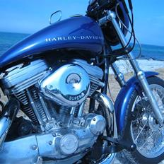 Harley Davidson XL1200 Evo.