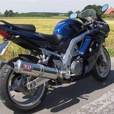 Suzuki SV1000S (SOLGT)