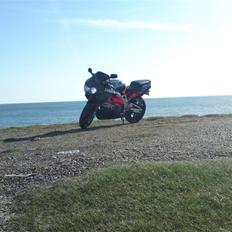 Honda •CBR 900RR •SOLGT•