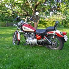 Yamaha xv 250 s virago