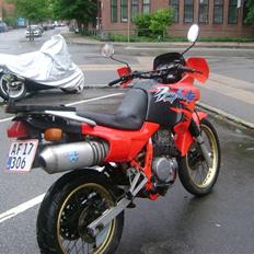 Honda Nx 650 "Solgt"