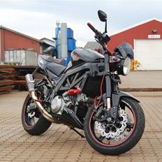 Suzuki SV 1000 N