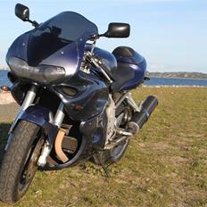 Suzuki TL 1000