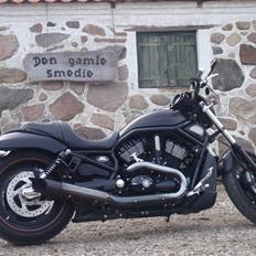 Harley Davidson V Rod Night Rod