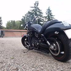 Harley Davidson V Rod Night Rod