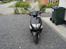 PGO t-rex -SOLGT-