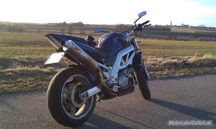 Suzuki SV 1000 N K4 billede 2