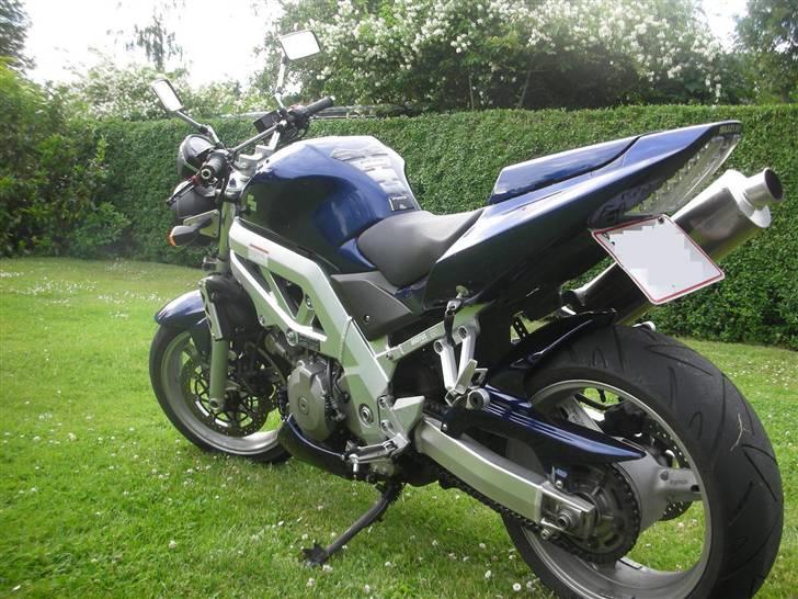 Suzuki SV 1000 N K4 billede 5