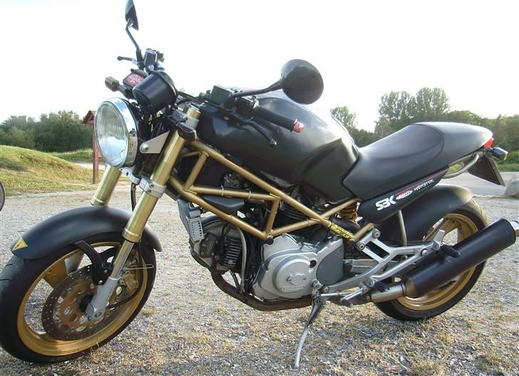 Ducati Monster billede 1