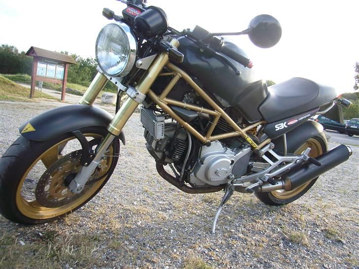 Ducati Monster billede 2