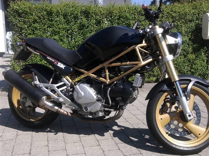 Ducati Monster billede 6