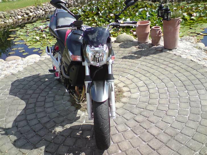 Suzuki GSR billede 2