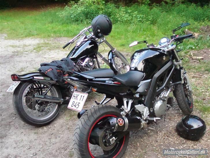 Suzuki SV1000N (K7) billede 13