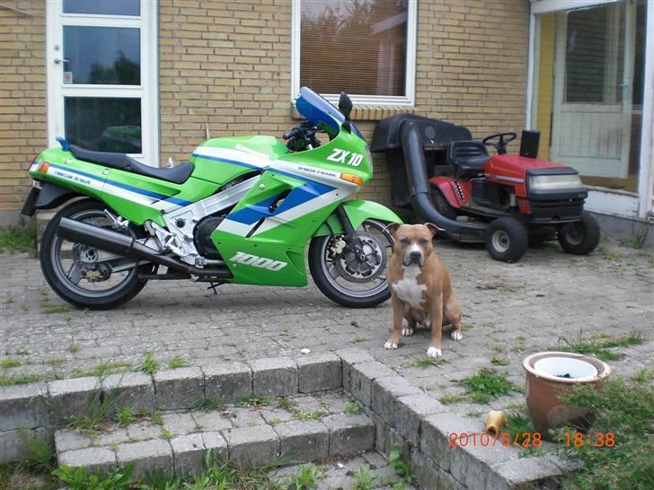 Kawasaki ZX 10 billede 1