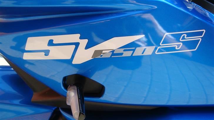 Suzuki SV 650 billede 6