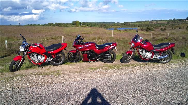 Kawasaki Gpz 500S billede 2