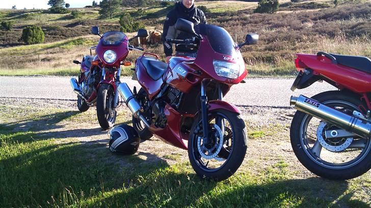 Kawasaki Gpz 500S billede 3