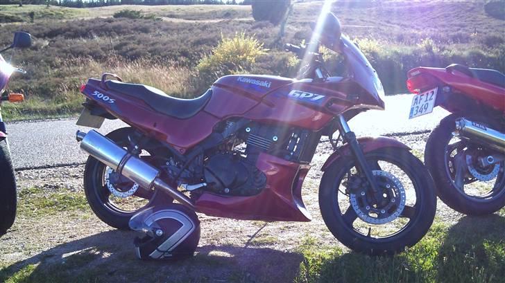 Kawasaki Gpz 500S billede 4