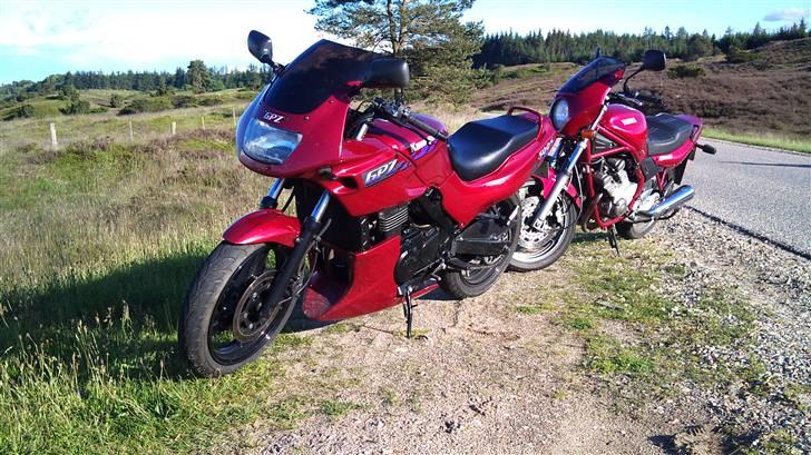 Kawasaki Gpz 500S billede 5