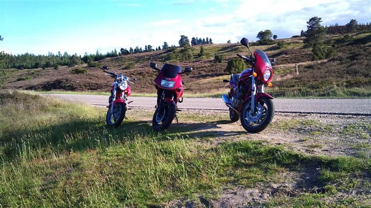 Kawasaki Gpz 500S billede 6