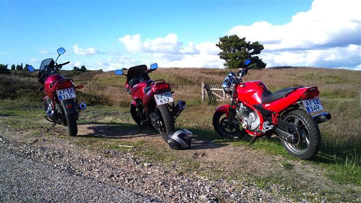 Kawasaki Gpz 500S billede 8
