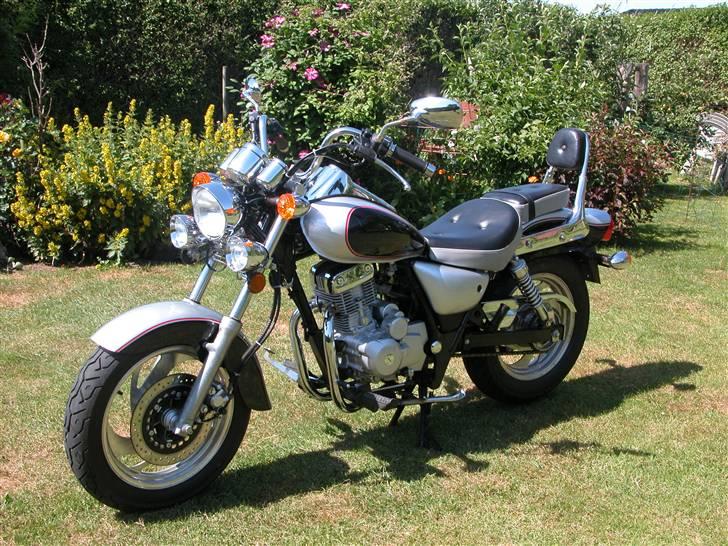 Regal Raptor Banhe 125 ccm billede 1