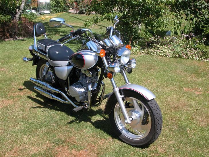 Regal Raptor Banhe 125 ccm billede 2