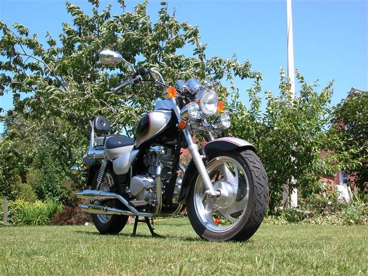 Regal Raptor Banhe 125 ccm billede 7