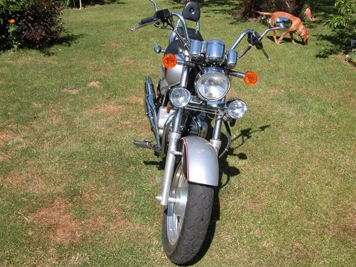 Regal Raptor Banhe 125 ccm billede 13