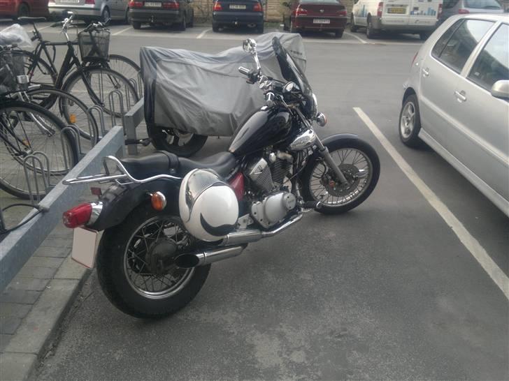 Yamaha XV 250 Virago (Type 3LS) billede 11