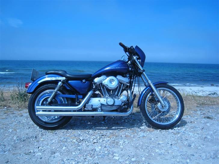 Harley Davidson XL1200 Evo. billede 1