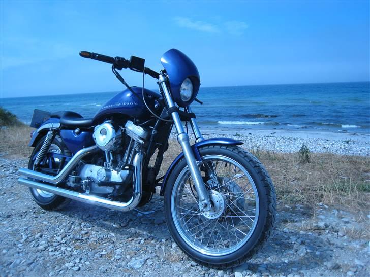 Harley Davidson XL1200 Evo. billede 2