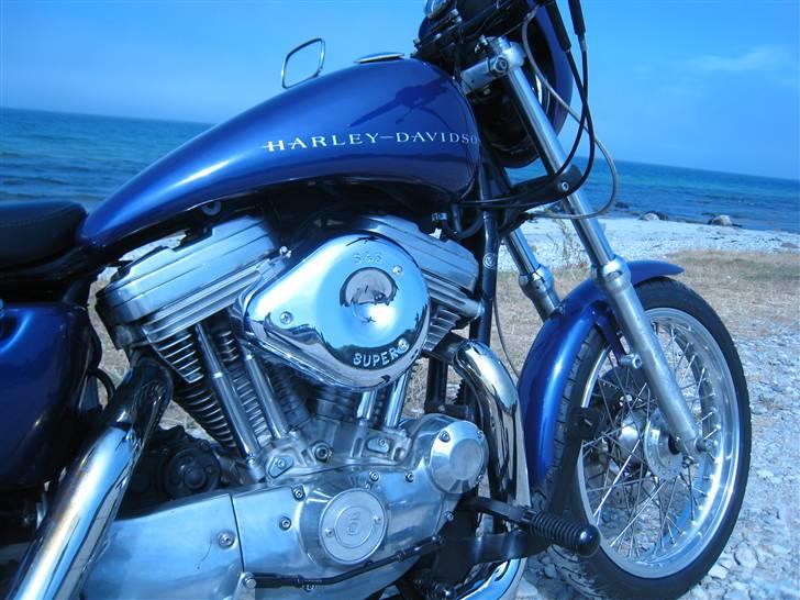 Harley Davidson XL1200 Evo. billede 3