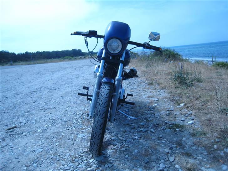 Harley Davidson XL1200 Evo. billede 6