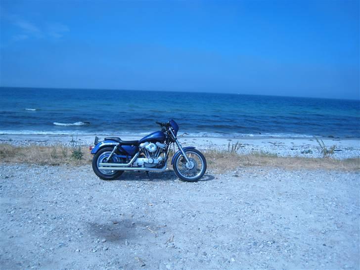 Harley Davidson XL1200 Evo. billede 8