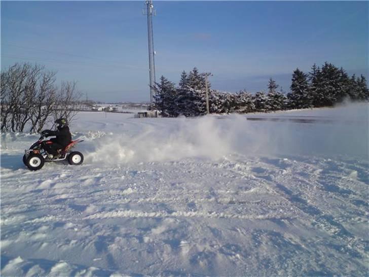 Yamaha yfm raptor billede 7