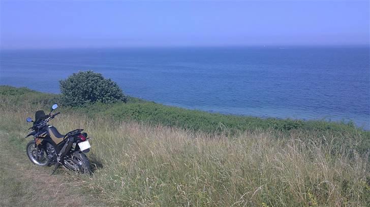 Yamaha XT660R billede 7