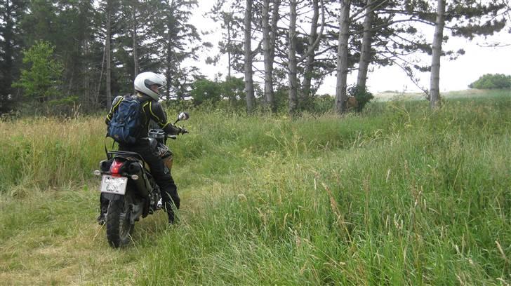 Yamaha XT660R billede 9