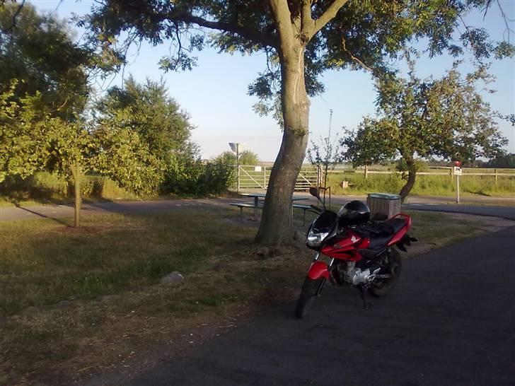 Honda CBF125 billede 4