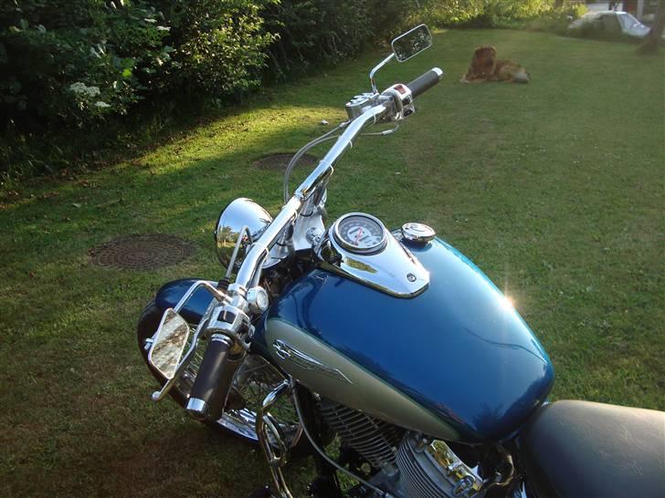 Yamaha Xvs 650 Dragstar billede 10