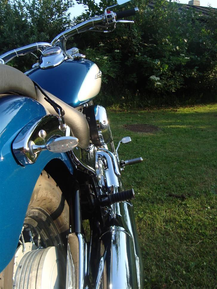 Yamaha Xvs 650 Dragstar billede 11