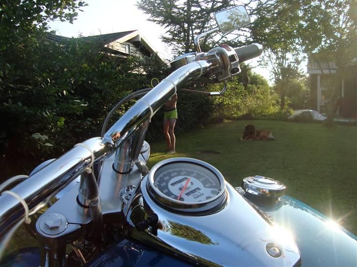 Yamaha Xvs 650 Dragstar billede 12